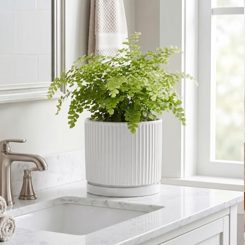 8 Inch Pots for Plants, Ceramic Plant Pots with Saucer, White