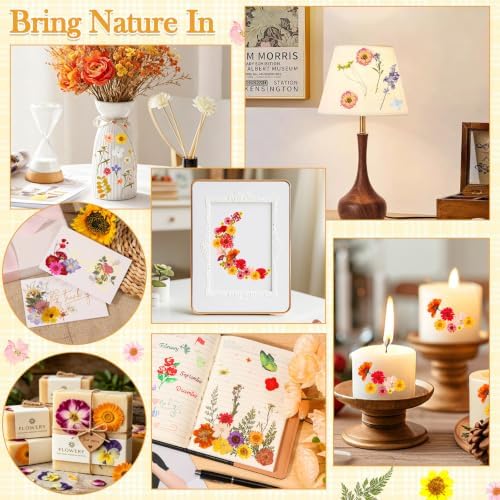 470 PCS Pressed Flowers for Crafts, Real Natural Dry Flowers with Tweezers Dried Pressed Flowers Dry Leaves Bulk for Resin, Scrapbook, Jewelry, Card, Candle & Soap Making