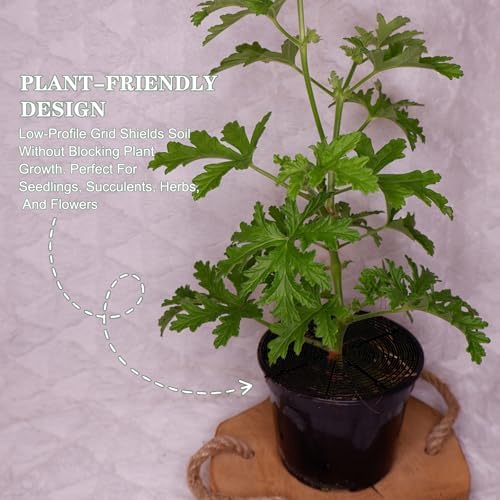 20.5 Inch Plant Pot Cover,Durable Cat & Dog Digging Stopper with Deep Stakes,Adjustable Soil Guard Grid for Indoor & Outdoor Flower Pots,Black Animal Protector
