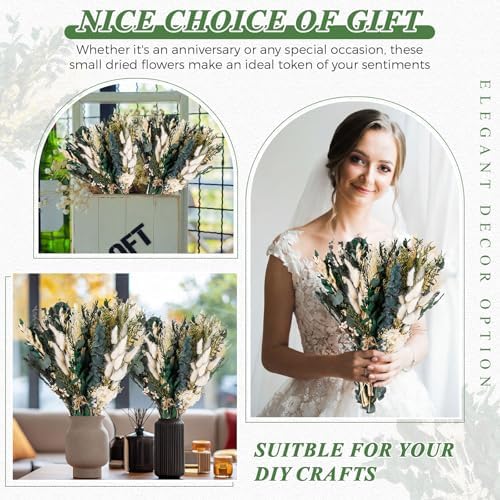 Layhit 8 Pack Large Size Boho Dried Flowers 15-17 Inch, Eucalyptus