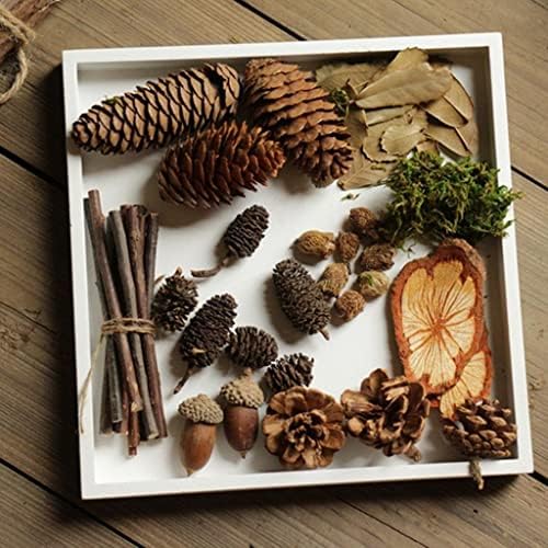 30 Pcs Natural Dried Acorn, Small Acorns Ornaments Vase Fillers for DIY Crafts, Christmas Thanksgiving Decorative House Fall Winter Holiday Home Decor
