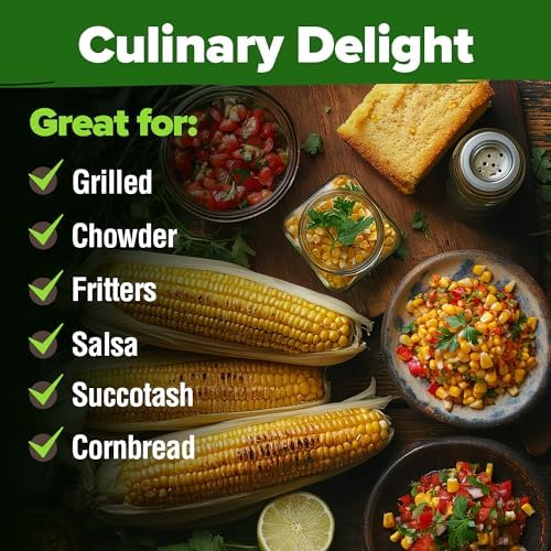 HOME GROWN Golden Bantam Sweet Corn Seeds, 100+ Seeds, Zea mays