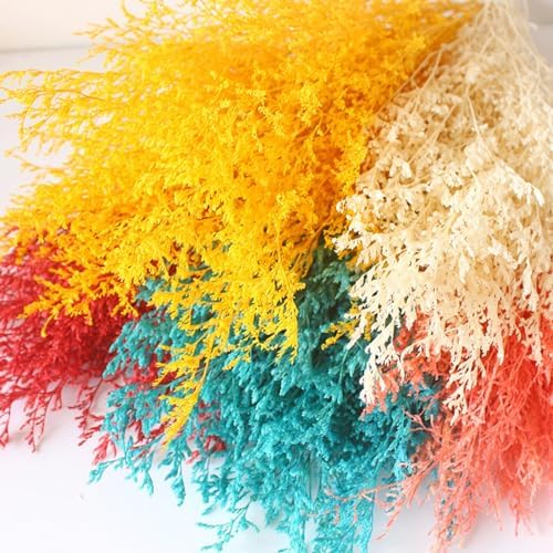 Dried Flower Bouquet, 17'' Dry Pink Caspia Flowers Bundle for Vase Decor