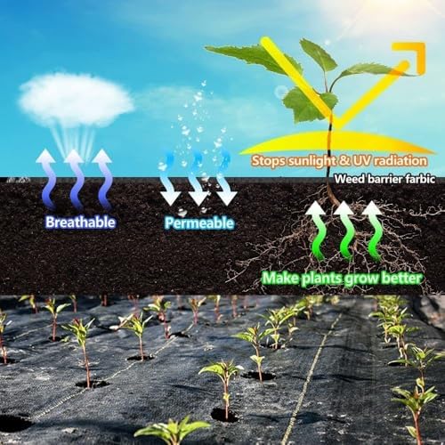 LAVEVE Heavy Duty Weed Barrier Landscape Fabric 4FT x 50FT