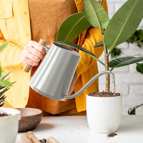 Green Moon 1L/35oz Metal Watering Can Indoor with Long Spout, Gray