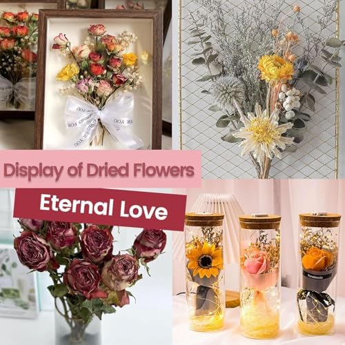 Wisesorb (NET 24 LBS) Silica Gel Flower Drying, Silica Gel Flower Drying Crystals, Color Indicating Flower Drying Silica, Reusable Silica Gel for Drying Flowers