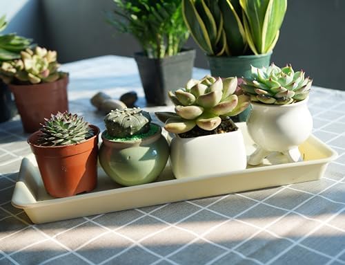 VUWEZ 2 Pack of Plastic Plant Tray Saucer Rectangular, Pot Trays Saucers for Indoors Outdoor, Plant Water Drip Tray for Flower Pot Planter, Windowsill Planter Trays (6.5 X 13 Inch, Beige)