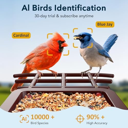 PeckCam® Bird Feeder with Camera Solar Powered 2K Live Video Auto Capture