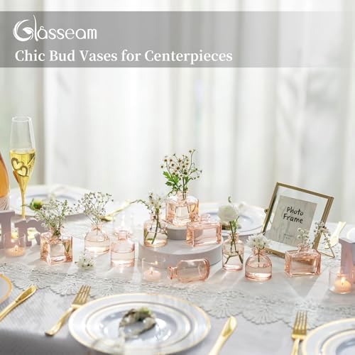 Glasseam Champagne Mini Bud Vases, 5 Pcs Small Glass Vases for Centerpieces