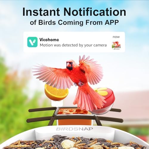 birdsnap® PAV Bird Feeder with Camera Solar Powered 2K Live Video 64GB Card