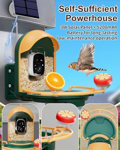Bird Feeder with Camera, AI Recognition, Bird Bath, Solar Powered