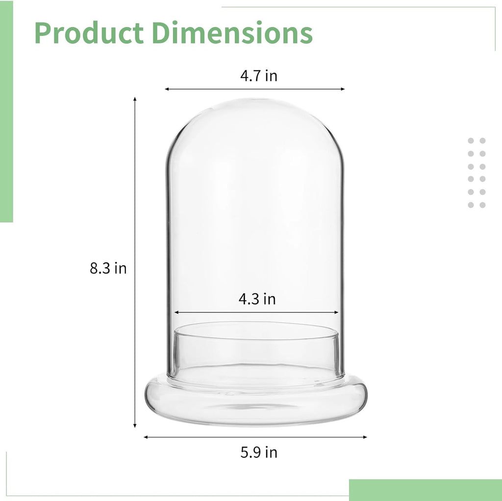Glass Display Cloche Dome, 8.3 x 5.9 in Plant Terrarium Container with Base, Clear Glass Cover, Decorative Tabletop