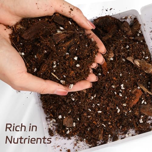 Doter Organic Pothos Soil Mix 10qt, Indoor Plants Potting Mix for All Potted Pothos, Grow Healthy houseplants Indoors