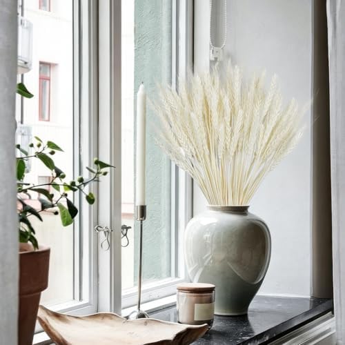 100Stems Dried Wheat Stalks, Natural White