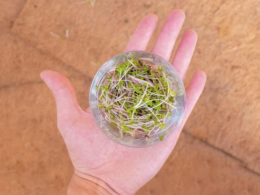 Envelor Coco Coir Fiber Grow Mat for Microgreens 10 x 20 Inches Coconut Coir Seed Starter Liner for Growing Trays