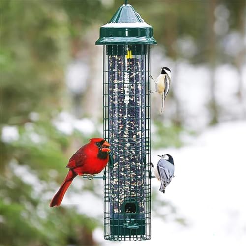 Squirrel Buster Classic Squirrel-proof Bird Feeder w/4 Feeding Ports, 2.4-pound Seed Capacity