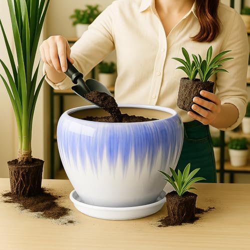 Deep Dream 10 Inch Plant Pot- Ceramic Planter Pot Round Plant Pots for Indoor Plants Outdoor Large Flower Pot with Drainage Holes & Trays, White&Blue