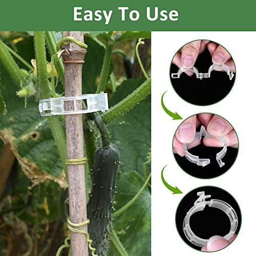 200 Pcs Plastic Trellis Plant Support Clips for Support, Grape and Tomato Vine, Vegetables Plants, Garden Clips to Grow Upright Makes Plants Healthier (Pack of 3)