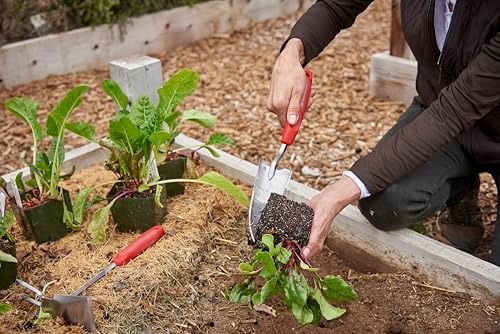 Corona Stainless Steel ComfortGEL Transplanter, red