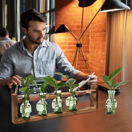 Plant Terrarium Propagation Stations Halloween Skull Planter Vase Skulls