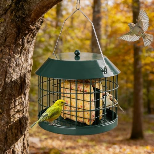 Gbekery Squirrel Proof Suet Bird Feeders for Outdoors Hanging, Green