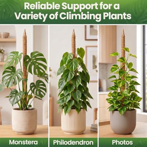 63'' Moss Pole Monstera Plant Support for Climbing Indoor Plants