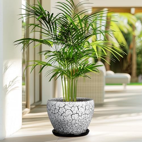 Ceramicfor Ceramic Plant Pot 8 Inch, Glaze White and Black