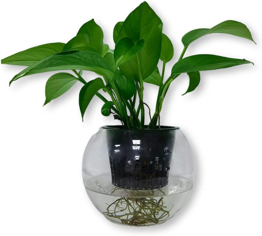 Mesh Net Cup 6 Inch 16-Pack Heavy Duty Nursery Pot Garden Pots for Plants Hydroponics Supplies Net Pots