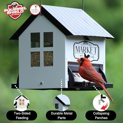 Squirrel Shield Metal Hopper Squirrel Proof Outdoor Wild Bird Seed Feeder, Hanging Bird Feeder, 2 Weight Activated Feeding Ports, Easy to Fill Roof Opening, White