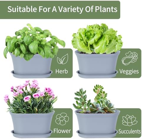 Oliz 6pk Windowsill Planters, Grey Plastic w/Drain Tray - Indoor/Outdoor