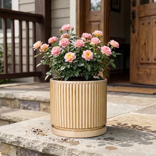 Ceramic Pots for Plants, 10 Inch Planters, Round Plant Pot, Beige