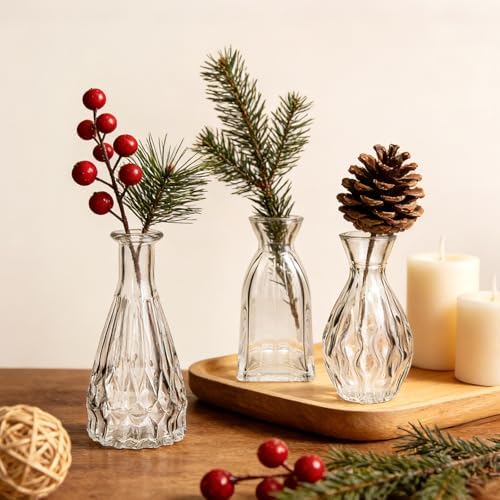 Glass Bud Vases in Bulk, 3pcs Small Glass Vase for Centerpieces