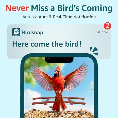 birdsnap® TUC Bird Feeder with Camera Solar Powered 2K Video with 32GB Card
