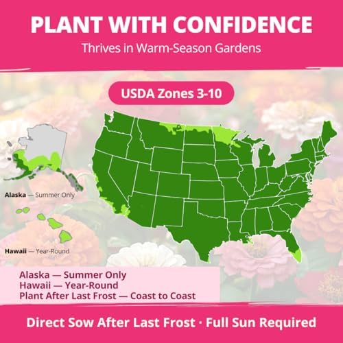 HOME GROWN Zinnia Seeds, Lilliput Mix, 2,500 Seeds, Zinnia elegans