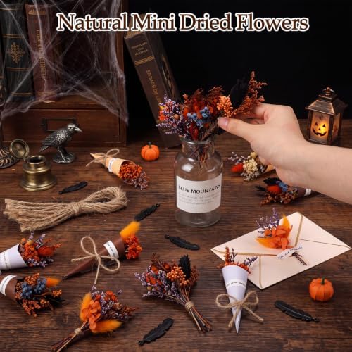 30 Set Mini Dried Flower Bouquet for Craft with Stem, Halloween