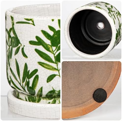 Small Ceramic Pot for Indoor Plants - 5.5 inch Plant Pot with Drainage Hole and Saucer Olive Leaf Decorative Planter Indoor Outdoor Flower Pots for Succulent Snake Pothos Plant Windowsill Home Garden
