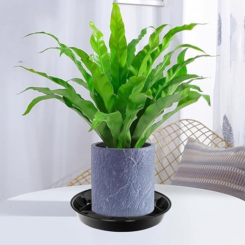 6 Pack Plant Saucer Drip Tray 9 10 inch, Plant Dishes Saucer, Heavy Sturdy Plastic Planter Flower Pot Saucers for Indoor Outdoor Garden, Plant Water Drip Trays for pots (10", Black)