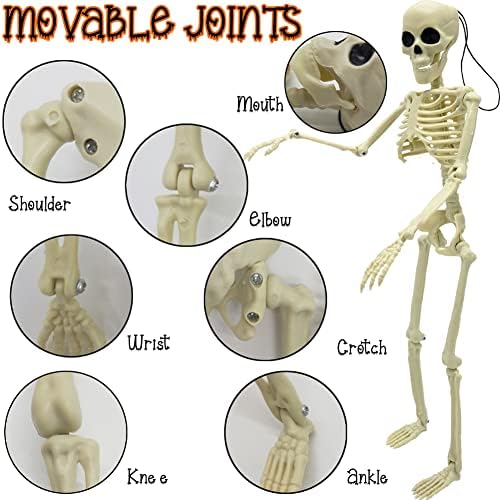 6PCS Skeleton Halloween Decorations, 16in Full Body Poseable Small Skeleton