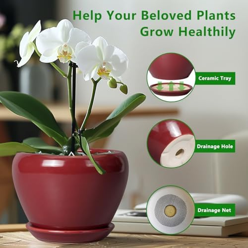 Ceramicfor 10 Inch Plant Pot, Ceramic Planter, Red