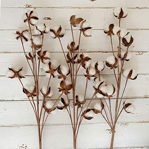 idyllic Cotton Stems Decor Branches, Cotton Flowers Plants for Decorations, Dried Flowers for Vase, 6 Pcs-31 Inches Tall - 12 Bolls per Stem