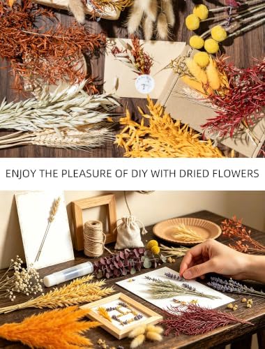 12 Kind Dried Flowers Set - Fall Decor Preserve Flowers Kit