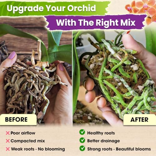 DUSPRO 4in1 Orchid Potting Mix for Repotting,Pre-Mixed & Ready to Use, 10QT