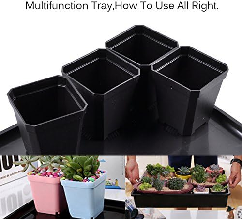 eZAKKA 14.6" x 11.8" Seed Starter Tray Kit with Dome, 20 Cells, Black