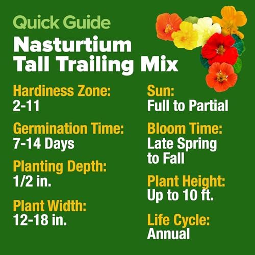HOME GROWN Nasturtium 250+ Seeds, Dwarf Tall Trailing Mix, Tropaeolum majus
