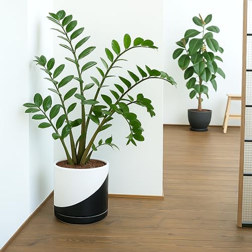 D'vine Dev 10 Inch Ceramic Planter Pot, Black White Diagonal, 94-O-E-K