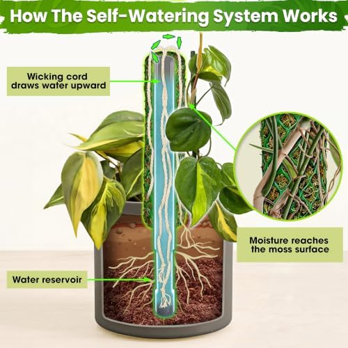 DUSPRO Self-Watering Natural Green Forest Moss Pole, 2pcs 23''