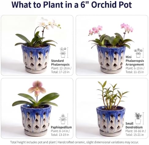 6 Inch Ceramic Orchid Pot with Holes, Cream & Muted Blue