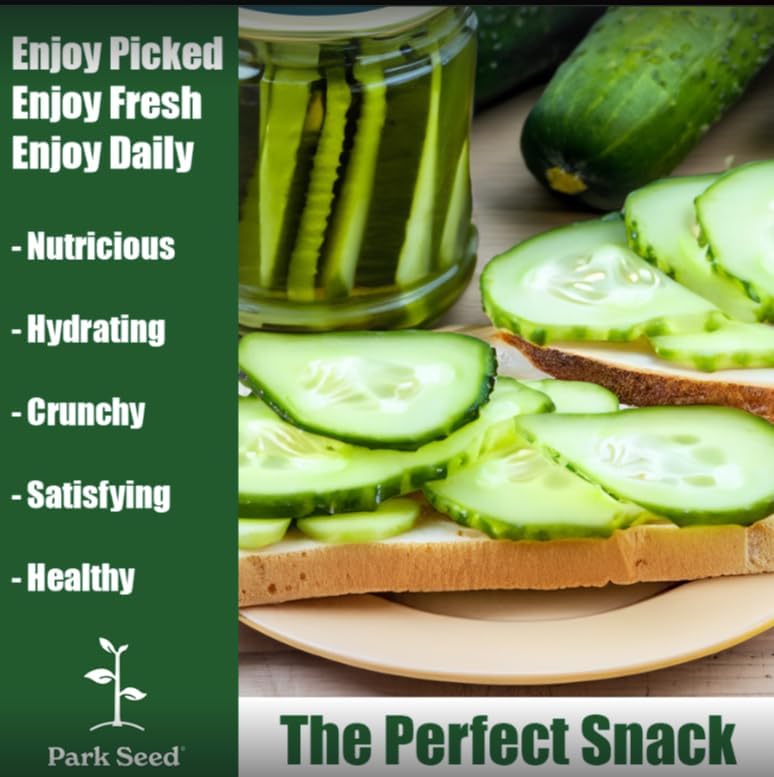 Park Seed Whopper Collection – High-Yield Tomato, Bell Pepper, Jalapeño & Cucumber Seed Set, Crisp, Flavorful &