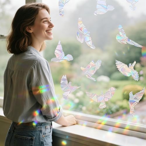 Window Decals to Prevent Bird Strikes, Window Clings for Birds
