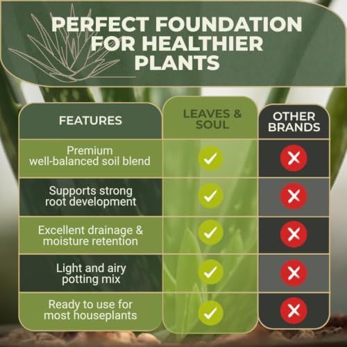 Professional Aloe Plant Soil Mix Large 2.2 Quarts Ready to Use, Premium Potting Soil for Aloe Vera Cactus Succulent Plants, Fast Draining Blend Pinebark Peat Course Sand Indoor Made in USA